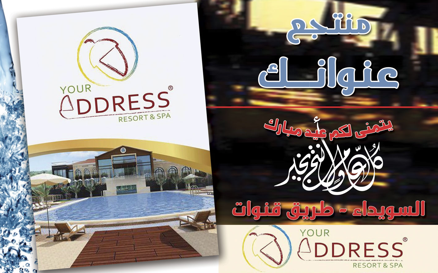 your-address -  - جريدة هدهد الإعلانية